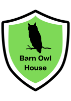 Barn Owl